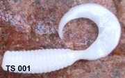 twister1-2.jpg